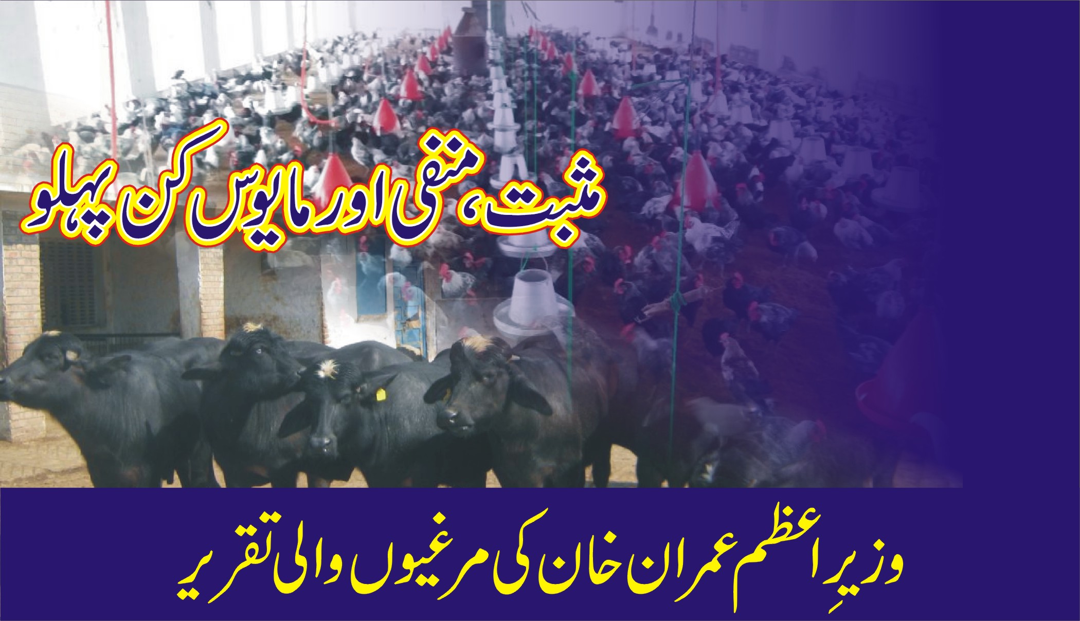 وزیر اعظم عمران خان کی مرغیوں والی تقریر ۔ ۔ مثبت، منفی اور مایوس کن پہلو
