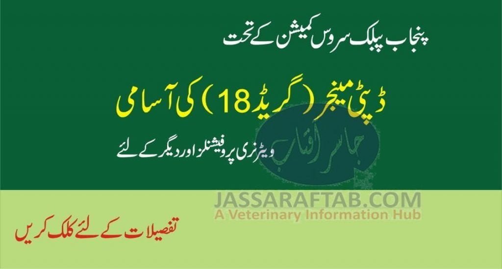 PPSC Jobs in Punjab in Grade 18 for Vets