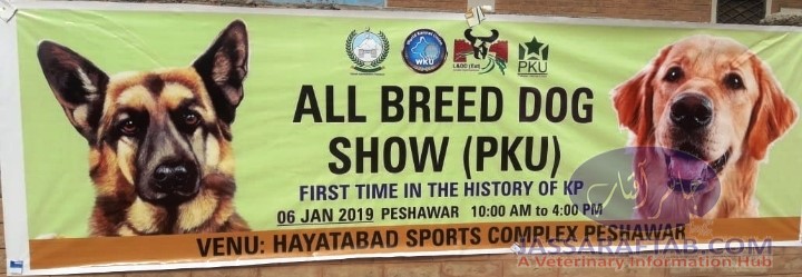 All Breed Dog Show in Peshawar