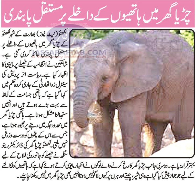 Ban on elephants in zoo in Lakhnau. Handling of elephant