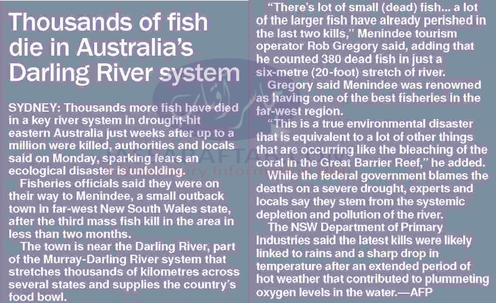 Thousands of fish die in Australia's Darling River System