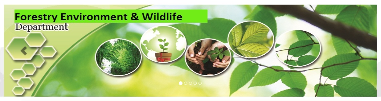 محکمہ جنگلی حیات اور محکمہ جنگلات کو یکجا کرنے کی تیاریاں
