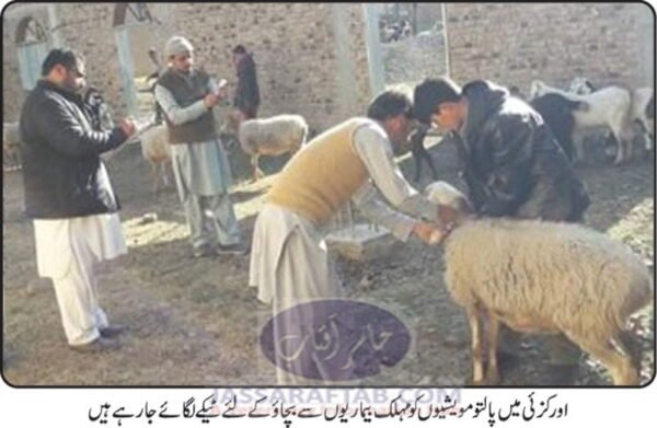 Free medicine for animals