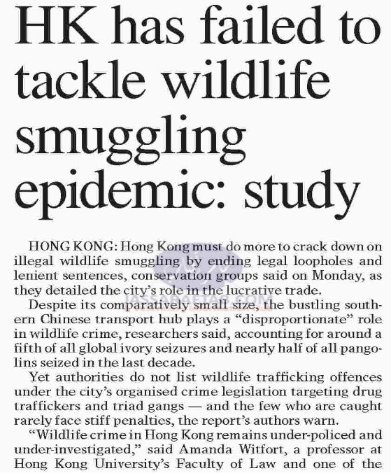 Hong Kong has failed to tackle wildlife smuggling.