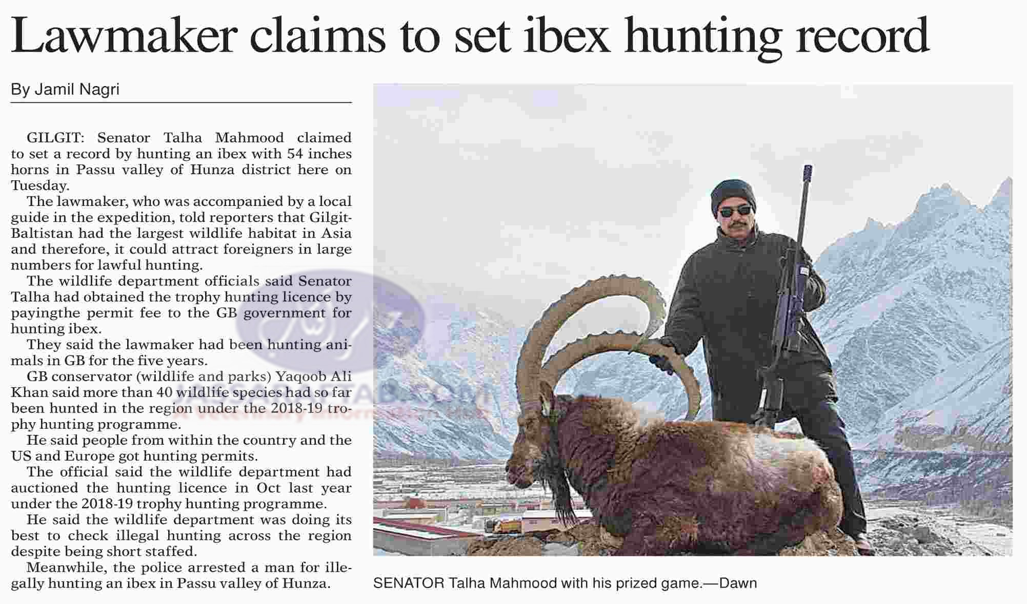 Senator Talha claimed to make a record of ibex hunting