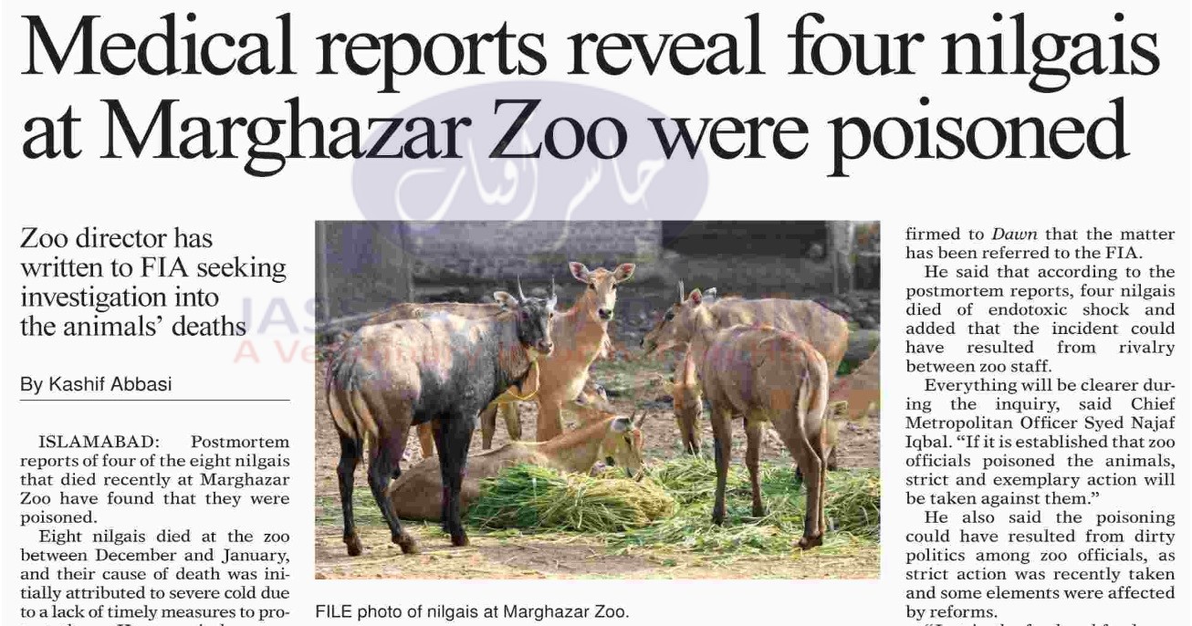 Nilgai death, animals were poisoned as per reports in Marghzar Zoo Islamab