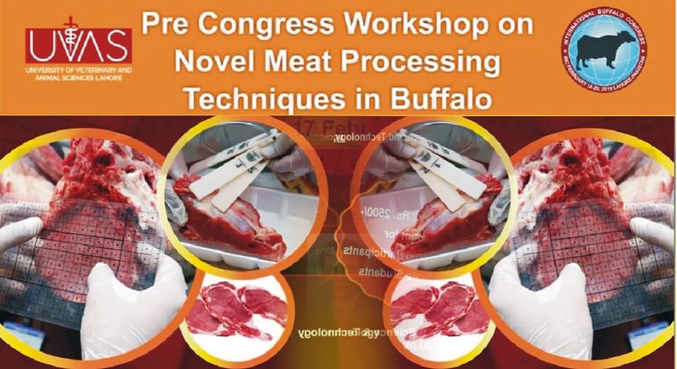 novel meat processing techniques in buffalo