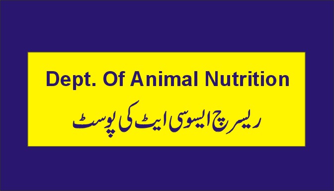 Animal Nutrition Job