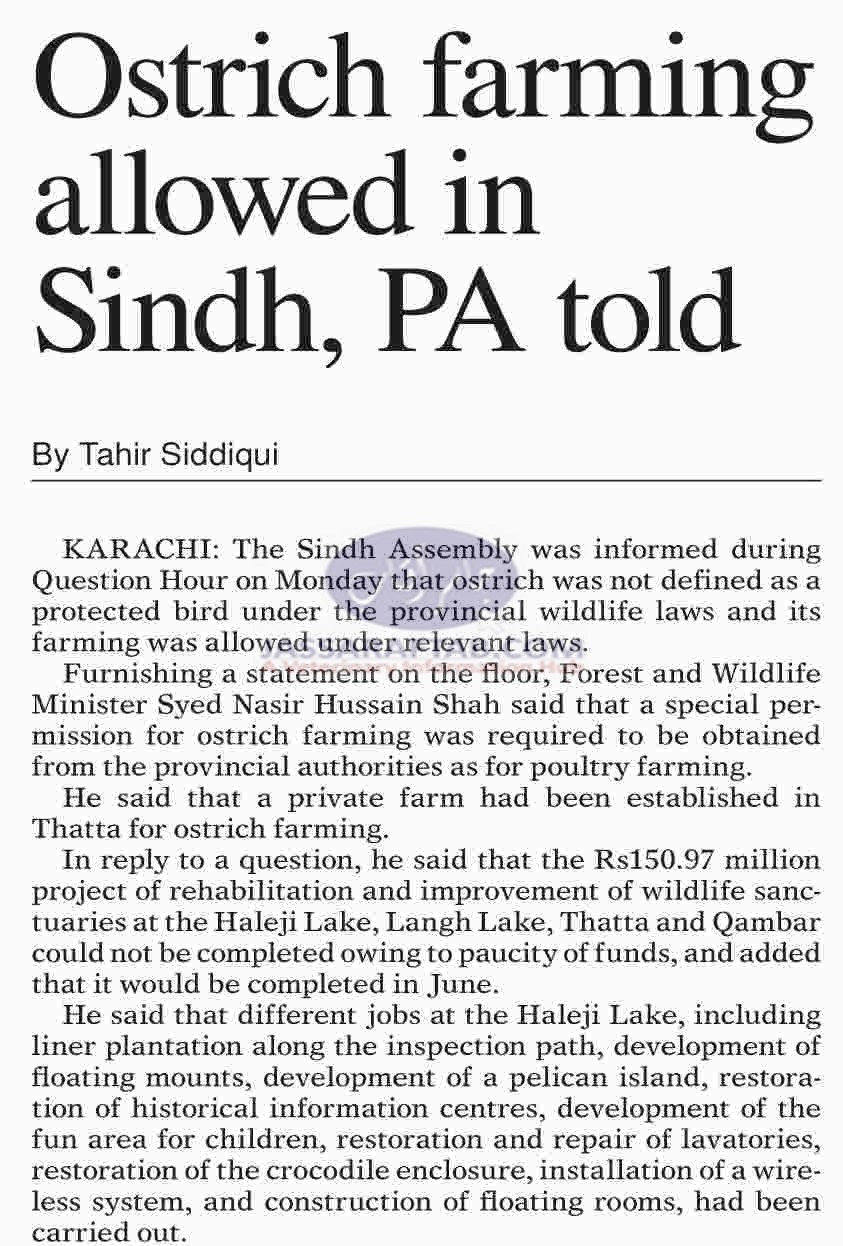 Ostrich farming in Sindh allowed