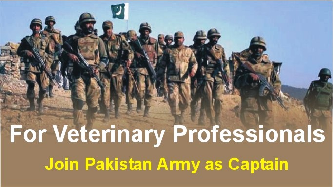 veterinarians job in Pakistan Army