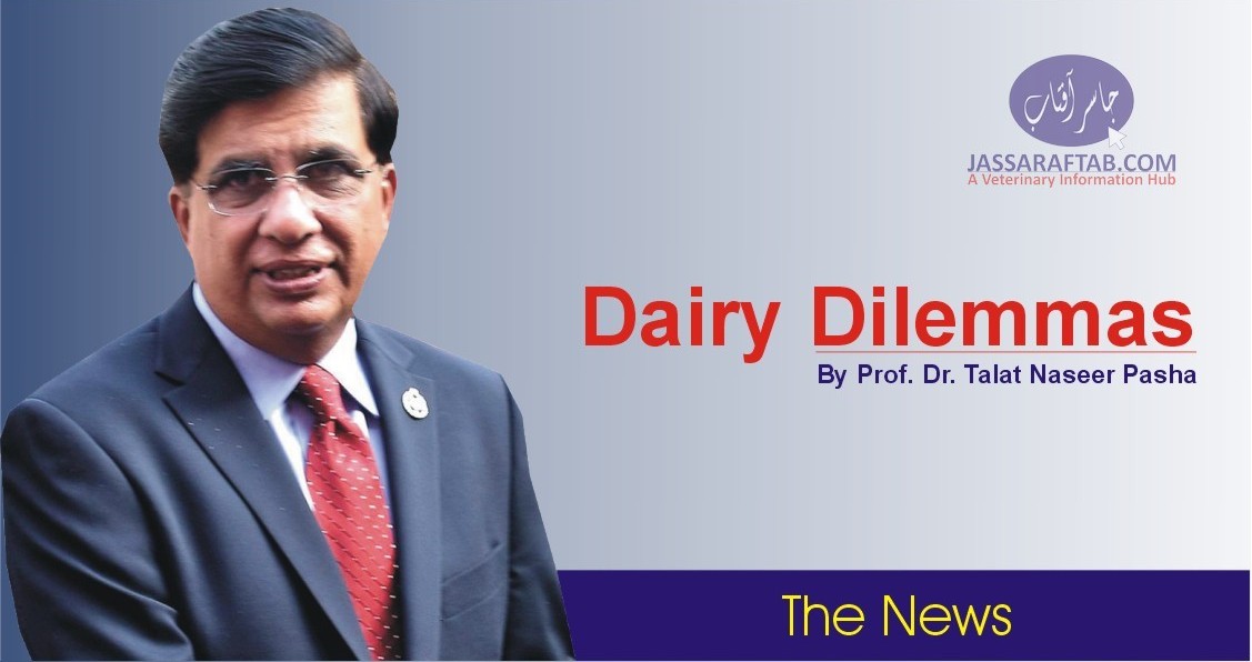 Dairy Dilemmas by Prof. Dr. Talat Naseer Pasha
