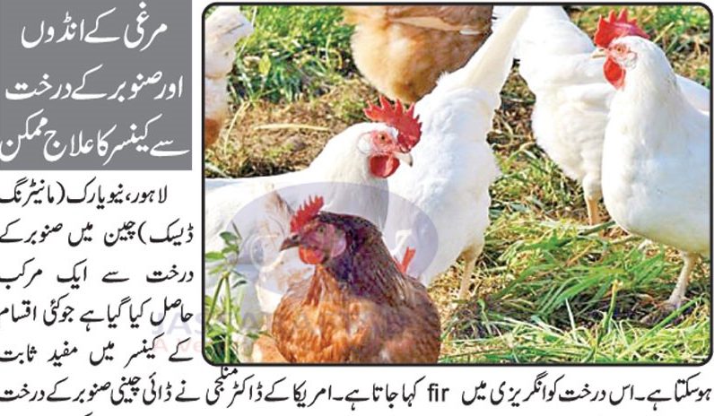 Treatment of Cancer with chicken eggs