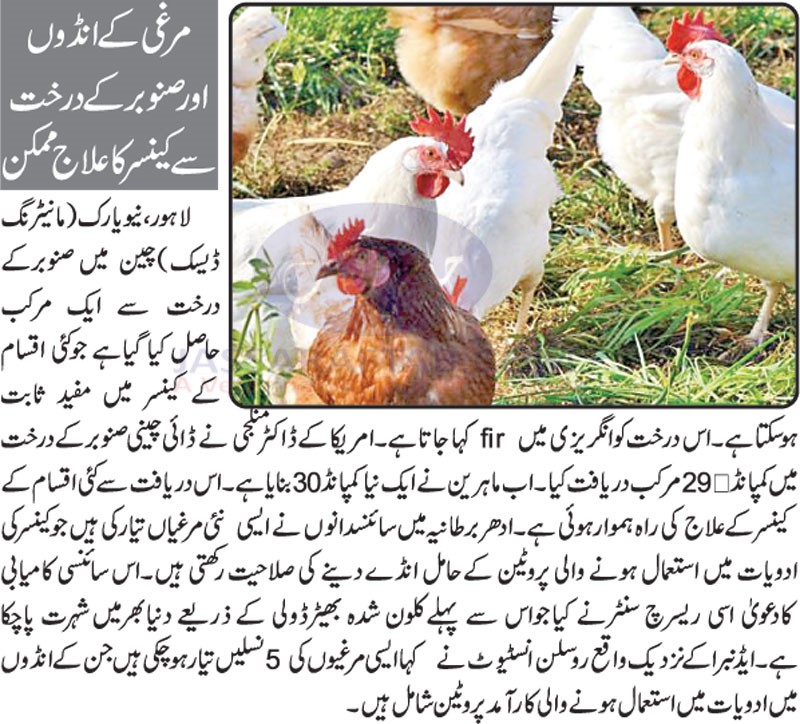 Treatment of Cancer with chicken eggs