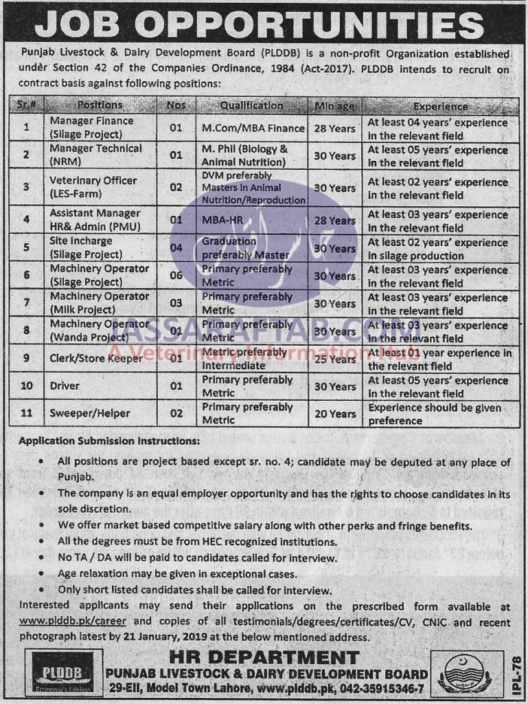 Job opportunities at Punjab Livestock and Dairy Development Board