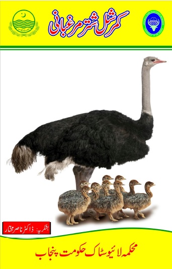 A book on ostrich farming, ostrich breeders, ostrich feeding and ostrich farm management. How to start ostrich farm, this book will be helpful