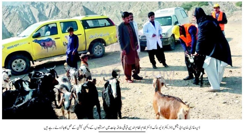 Vaccination of animals in Tribal Areas of Dera Ghazi Khan