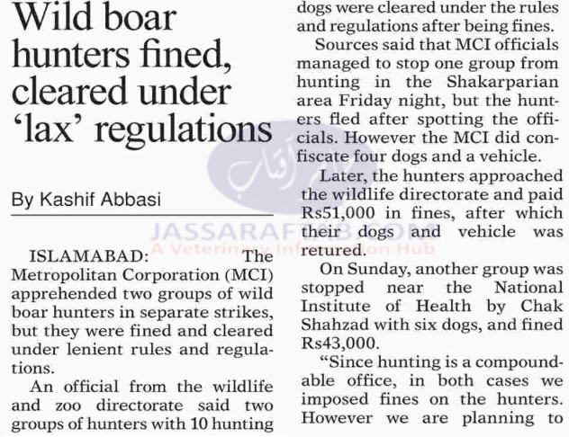 Wild boar hunters fined,