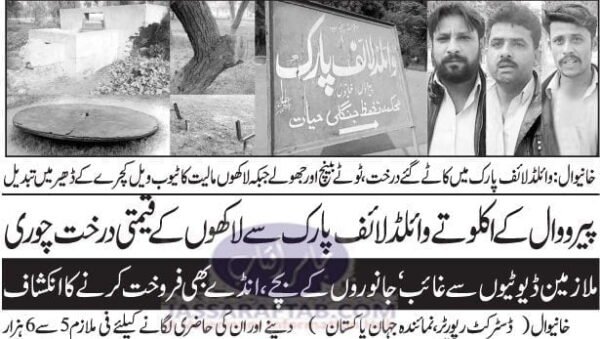 Sale of cubs and wild eggs