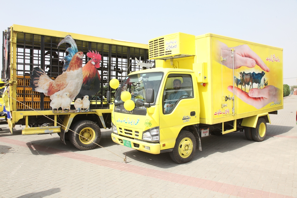 Livestock transport truck