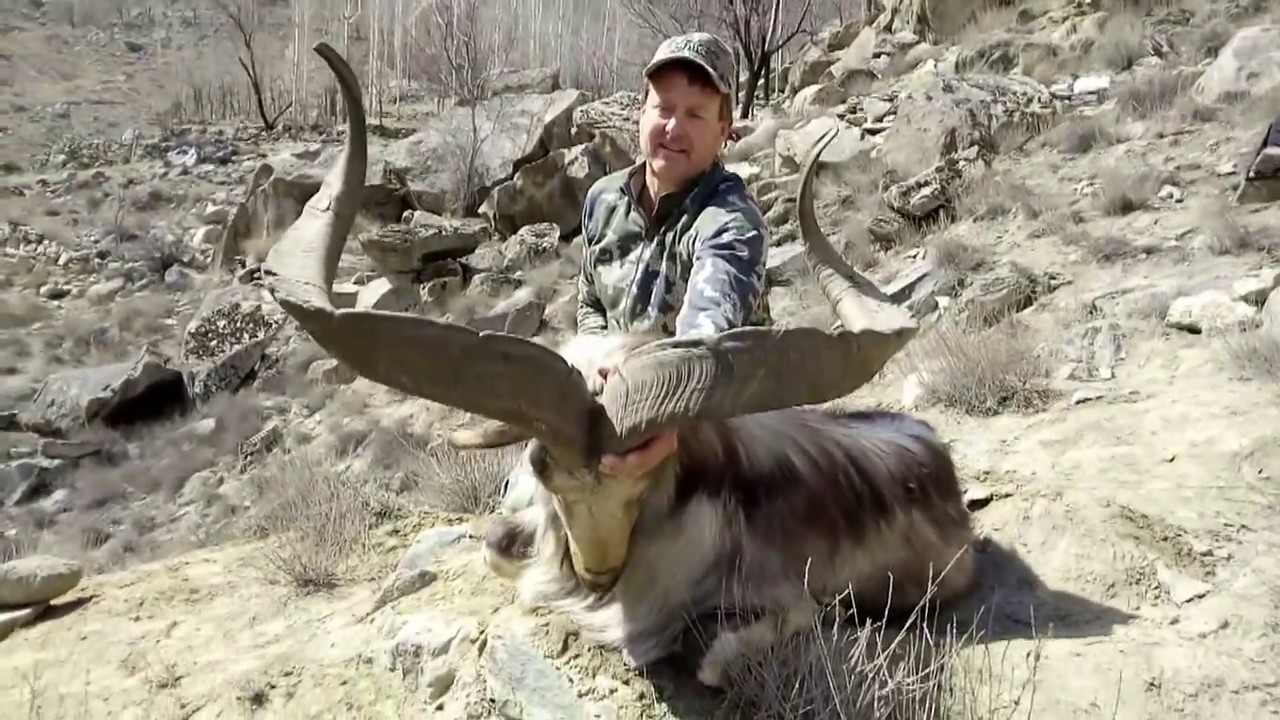 First hunting of markhor by American in Gilgit