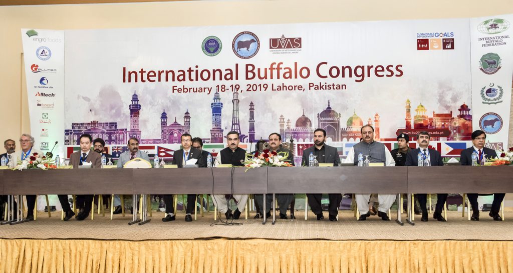 Buffalo Congress in Lahore