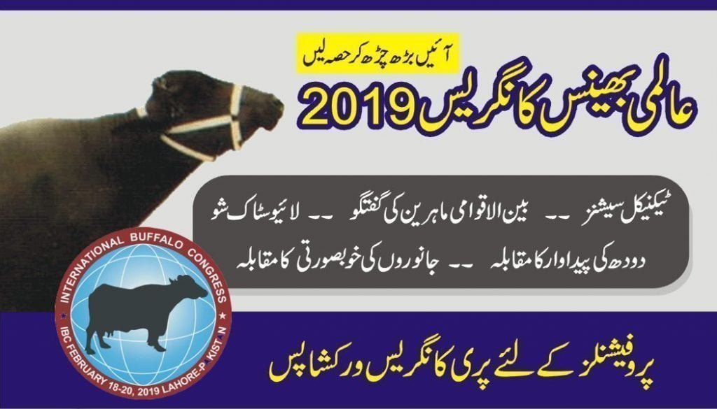 Let's Join -- International Buffalo Congress