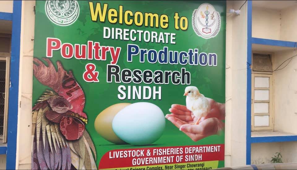 Poultry Production and Research Institute Sindh