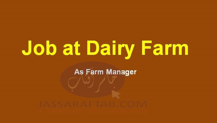 Dairy Farm Job