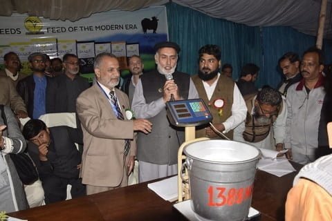 Buffalo Milk Competition