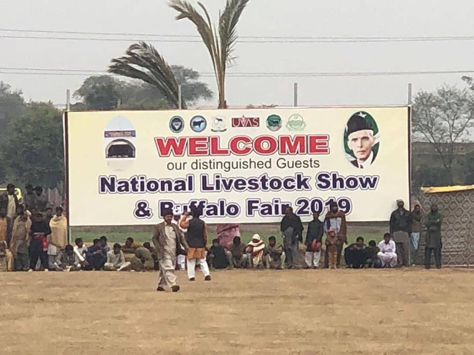 National Livestock Show and Buffalo Fair