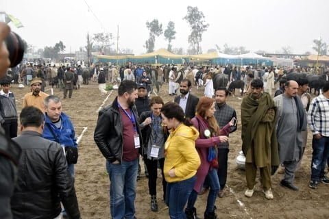 Livestock Show in Pattoki