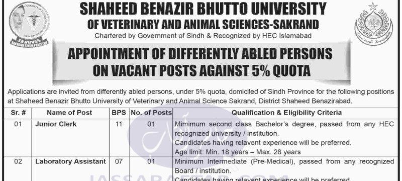 Benazir veterinary university jobs