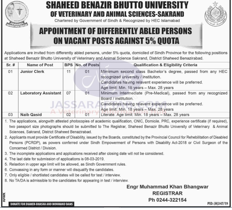 Benazir veterinary university jobs