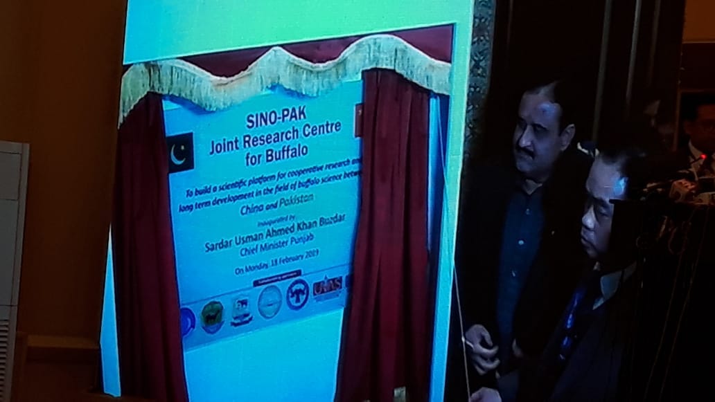 انٹرنیشنل بفلو کانگرس کا آغاز ہو گیا، وزیر اعلیٰ پنجاب سردار عثمان بزدار  نے بین الاقوامی بفلو کانگرس اور سائنو پاک جائنٹ ریسرچ سنٹر فار بفلو کا افتتاح کیا