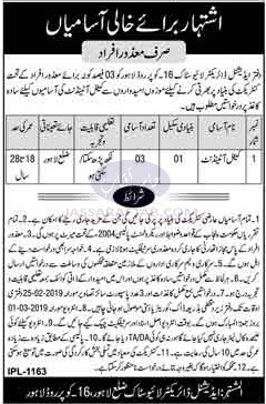 Cattle attendant jobs in additional director office