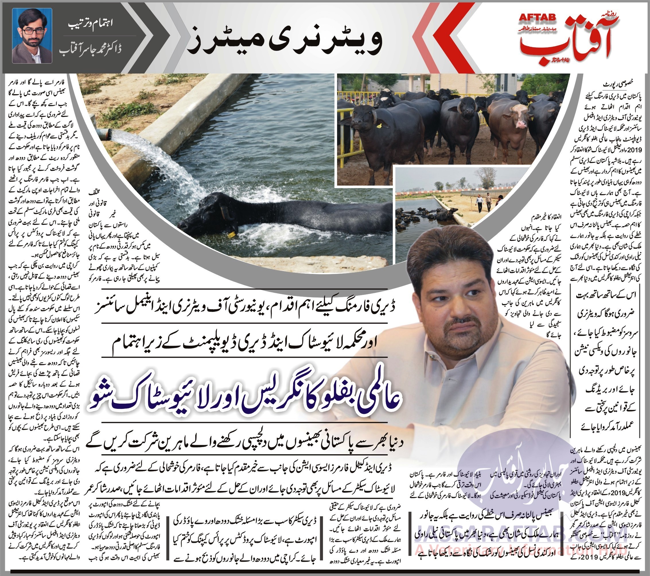 Dairy Sector Issues in Pakistan - Problems of Dairy Farming