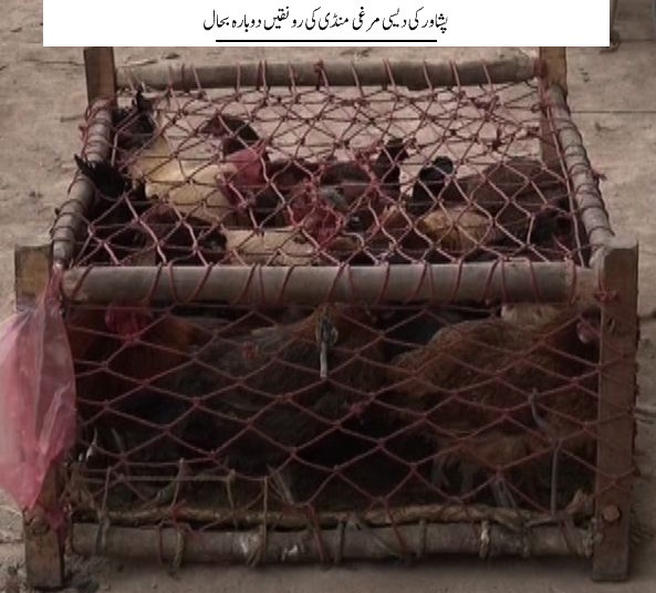 پشاور کی دیسی مرغی منڈی کی رونقیں دوبارہ بحال