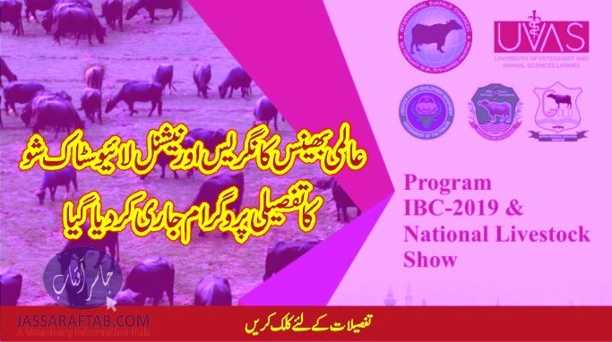 Livestock Show detailed program