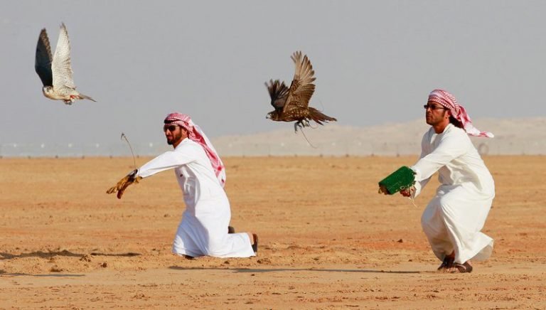 Houbara Bustard in Cholistan