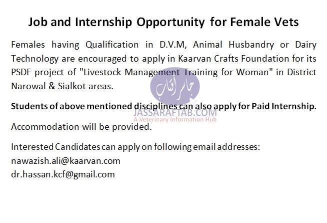 Job and internship opportunity for female Vets