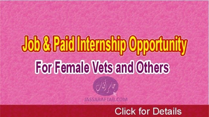 Job for Female Vets