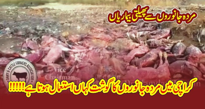 Diseases due to meat of dead animals