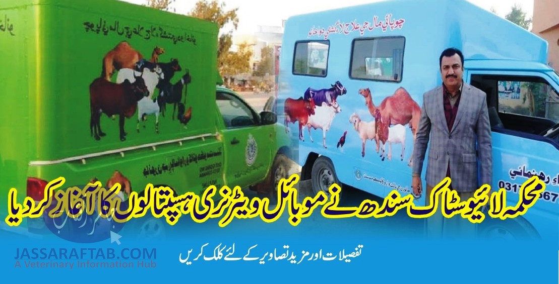 محکمہ لائیوسٹاک سندھ نے موبائل ویٹرنری ہسپتالوں کا آغاز کر دیا