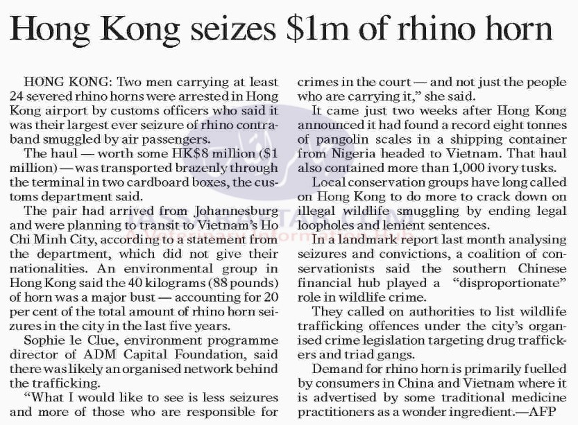 Rhino horns sized by the customs. Pangolin scales and ivory tusks were also found in wildlife smuggling