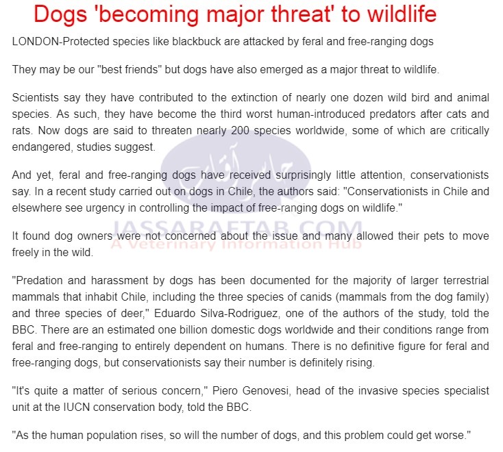 Dogs attack on Wildlife. Dogs becoming major threat to wildlife.