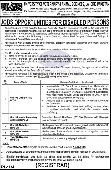 UVAS Jobs for Disabled