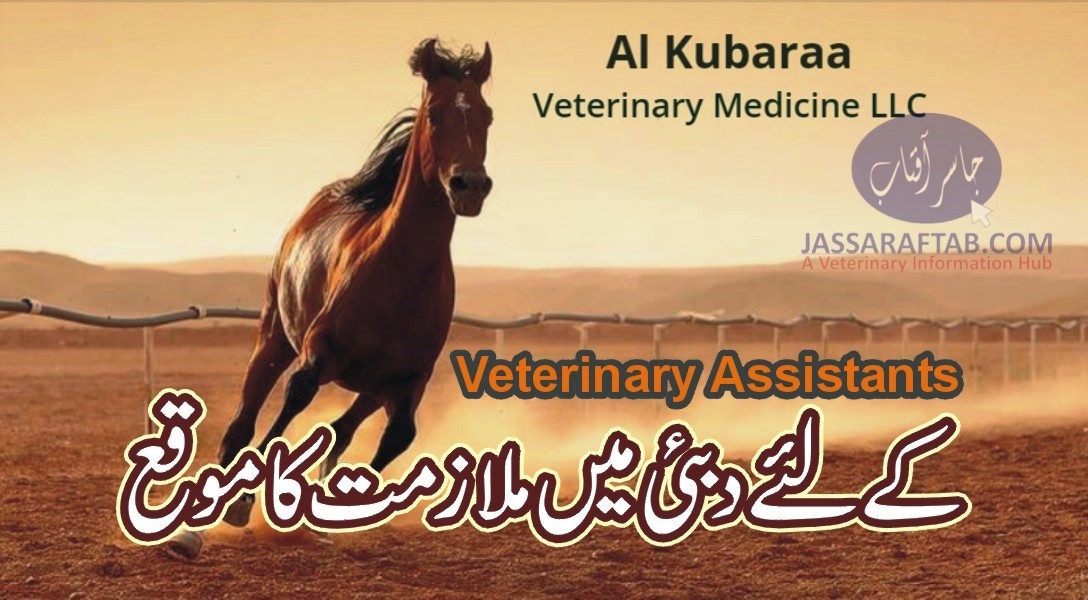 job in gulf in veterinary medicine