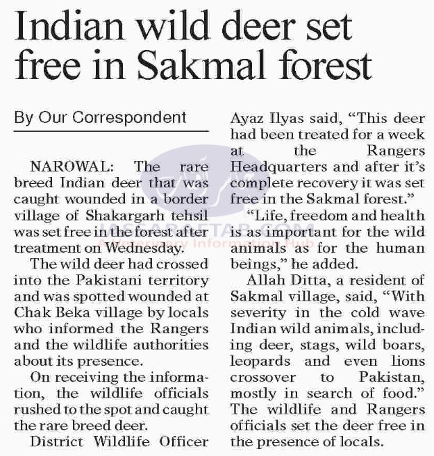 Indian wild deer set free in Sakmal forest