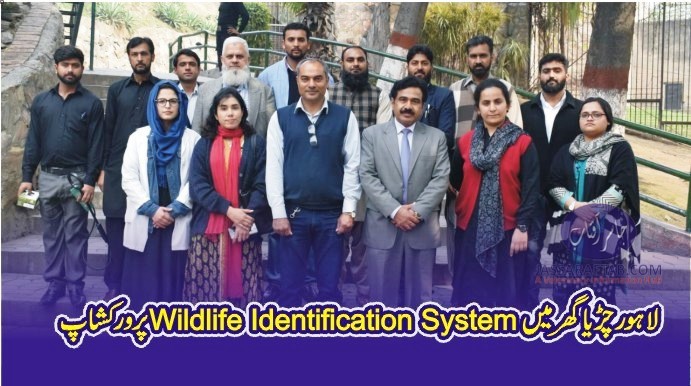Wildlife Identification System in Lahore Zoo