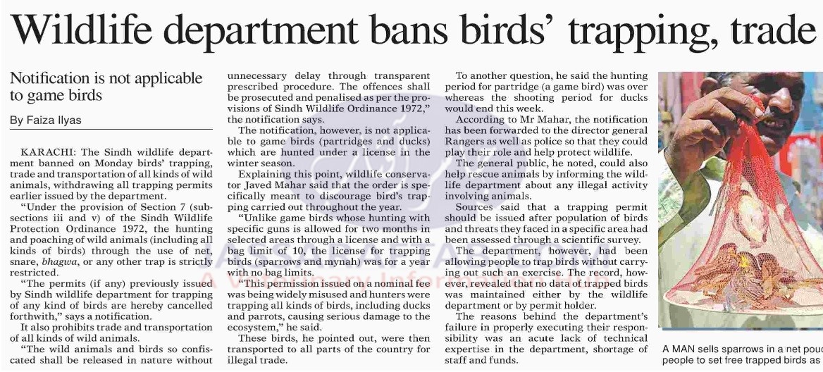 Wildlife department Sindh banned on birds trapping and birds trade.